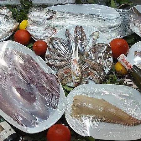Kadirga *