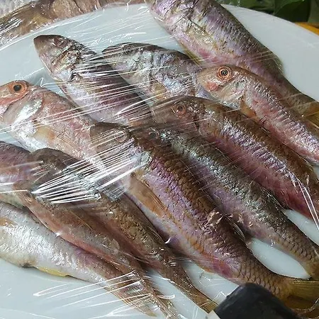Kadirga Assos