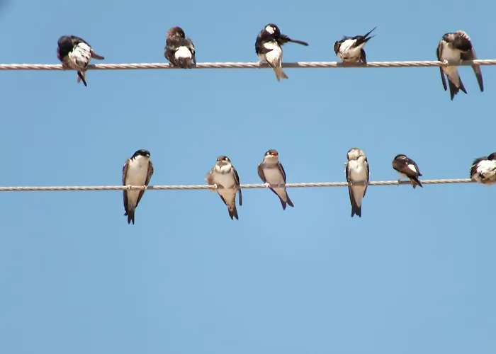 Kadirga Szálloda Assos